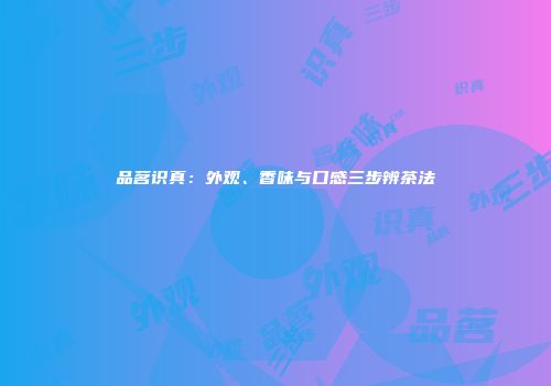 品茗识真：外观、香味与口感三步辨茶法