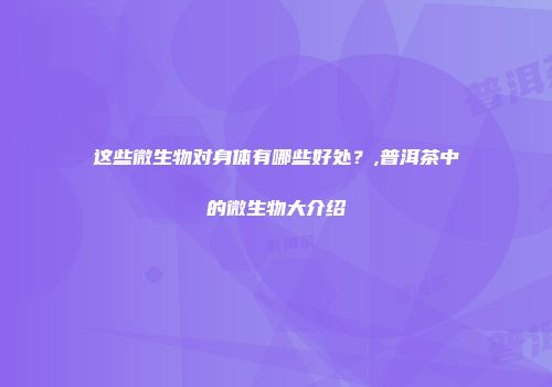 这些微生物对身体有哪些好处？,普洱茶中的微生物大介绍