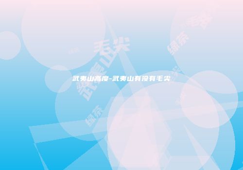 武夷山高度-武夷山有没有毛尖