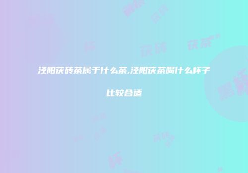 泾阳茯砖茶属于什么茶,泾阳茯茶喝什么杯子比较合适