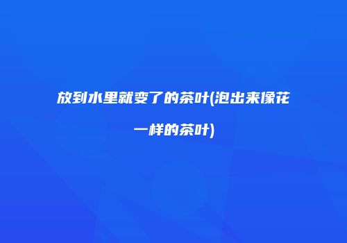 放到水里就变了的茶叶(泡出来像花一样的茶叶)