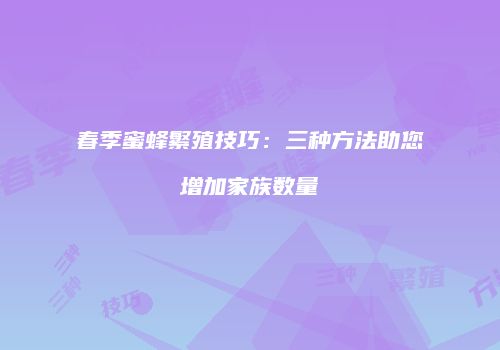春季蜜蜂繁殖技巧：三种方法助您增加家族数量