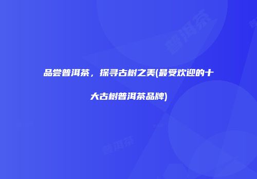 品尝普洱茶，探寻古树之美(最受欢迎的十大古树普洱茶品牌)
