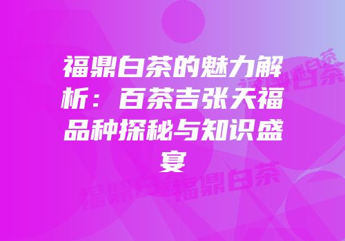 福鼎白茶的魅力解析：百茶吉张天福品种探秘与知识盛宴
