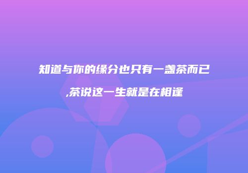知道与你的缘分也只有一盏茶而已,茶说这一生就是在相逢