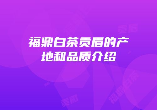 福鼎白茶贡眉的产地和品质介绍