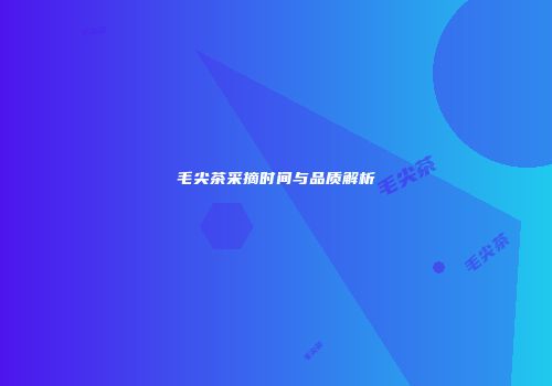 毛尖茶采摘时间与品质解析