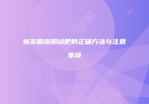 新茶园施用绿肥的正确方法与注意事项