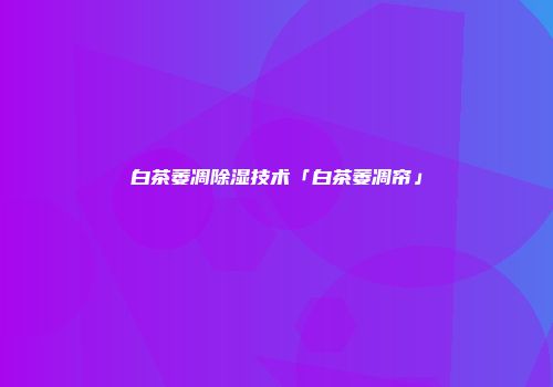 白茶萎凋除湿技术「白茶萎凋帘」
