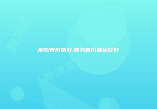 那款普洱茶好,哪款普洱茶回甘好