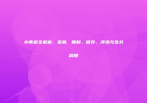 小青柑全解析：采摘、腌制、储存、冲泡与生长周期