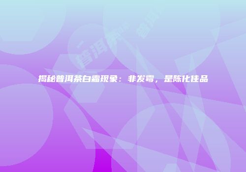 揭秘普洱茶白霜现象：非发霉，是陈化佳品