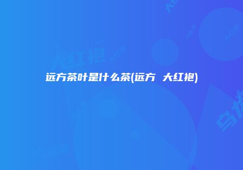 远方茶叶是什么茶(远方 大红袍)