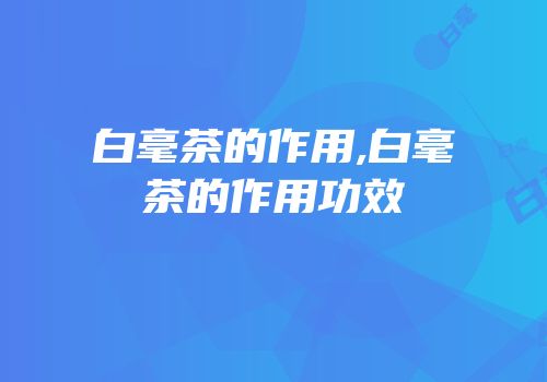 白毫茶的作用,白毫茶的作用功效