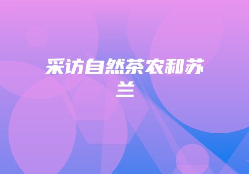 采访自然茶农和苏兰