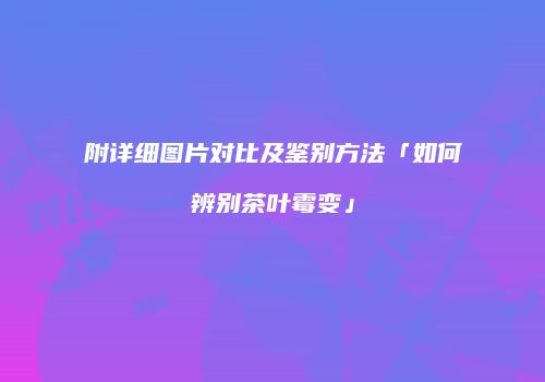 附详细图片对比及鉴别方法「如何辨别茶叶霉变」