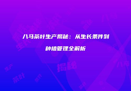 八马茶叶生产揭秘：从生长条件到种植管理全解析