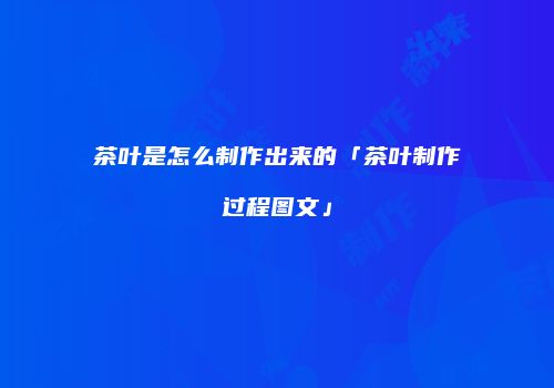 茶叶是怎么制作出来的「茶叶制作过程图文」