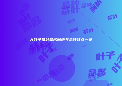 大叶子茶叶命名解析与品种特点一览