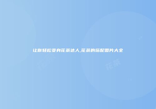 让你轻松变身花茶达人,花茶的搭配图片大全