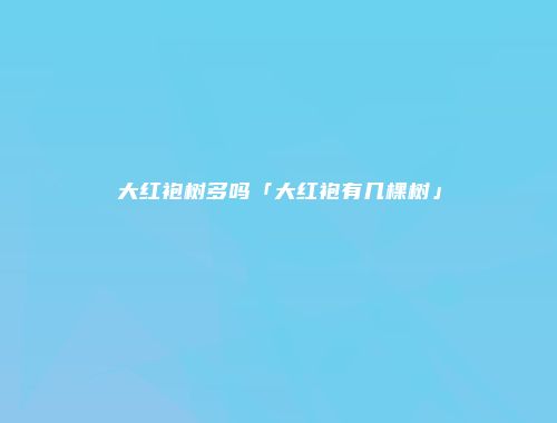 大红袍树多吗「大红袍有几棵树」