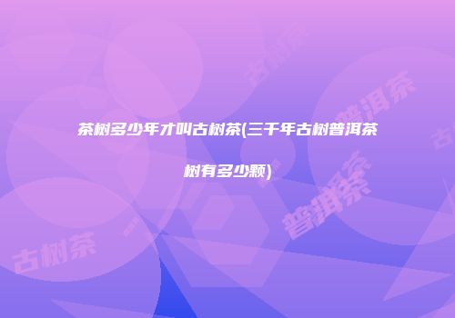 茶树多少年才叫古树茶(三千年古树普洱茶树有多少颗)