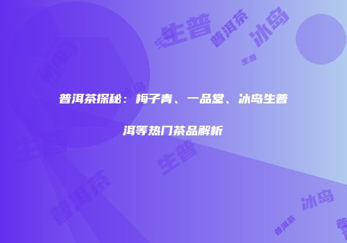 普洱茶探秘：梅子青、一品堂、冰岛生普洱等热门茶品解析