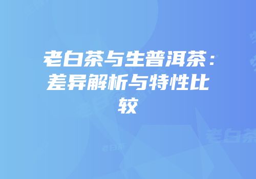 老白茶与生普洱茶：差异解析与特性比较