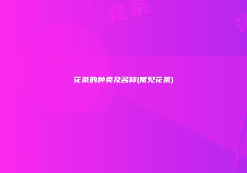 花茶的种类及名称(常见花茶)