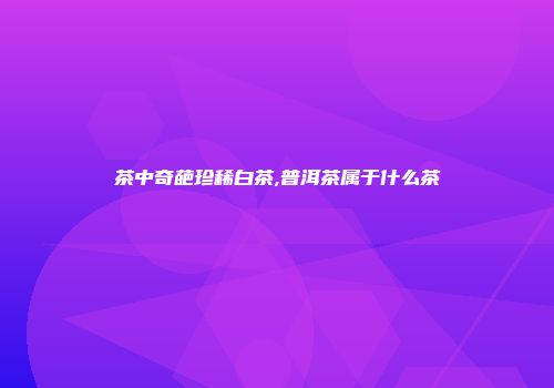 茶中奇葩珍稀白茶,普洱茶属于什么茶