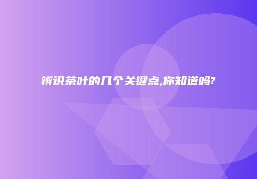 辨识茶叶的几个关键点,你知道吗?