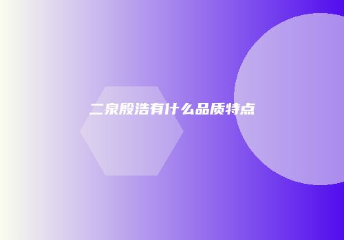 二泉殷浩有什么品质特点