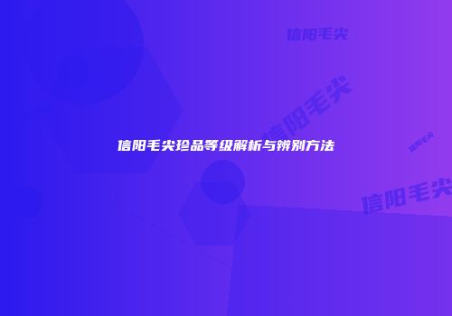 信阳毛尖珍品等级解析与辨别方法