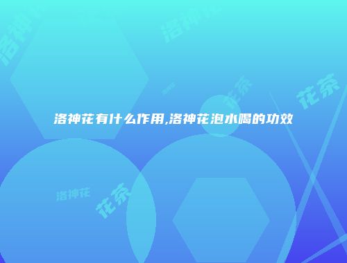 洛神花有什么作用,洛神花泡水喝的功效