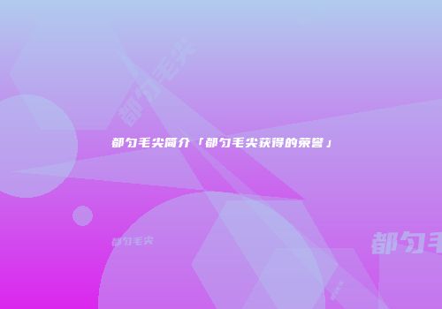 都匀毛尖简介「都匀毛尖获得的荣誉」