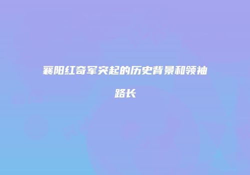 襄阳红奇军突起的历史背景和领袖路长