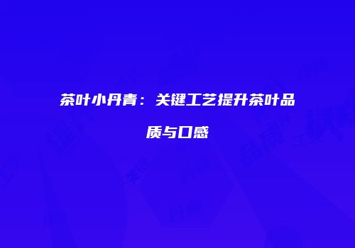 茶叶小丹青：关键工艺提升茶叶品质与口感