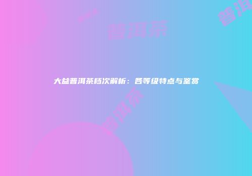 大益普洱茶档次解析：各等级特点与鉴赏