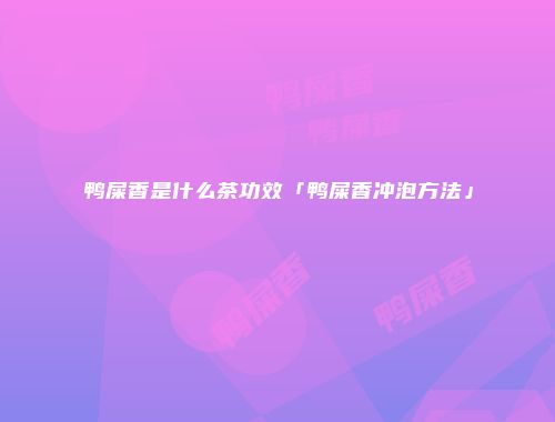 鸭屎香是什么茶功效「鸭屎香冲泡方法」