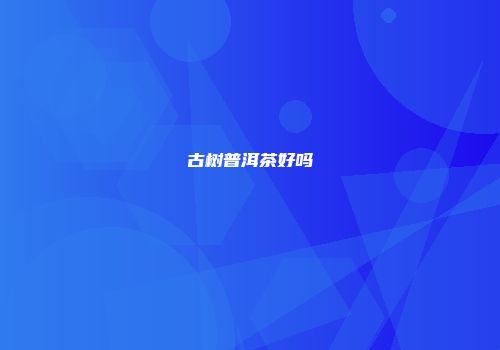 古树普洱茶好吗