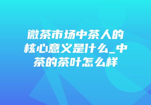 微茶市场中茶人的核心意义是什么_中茶的茶叶怎么样