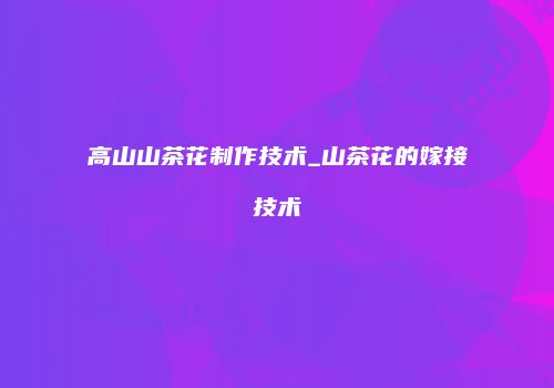 高山山茶花制作技术_山茶花的嫁接技术