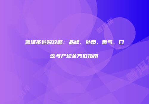 普洱茶选购攻略：品牌、外观、香气、口感与产地全方位指南
