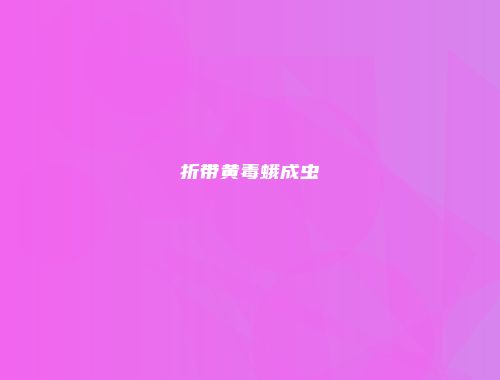 折带黄毒蛾成虫