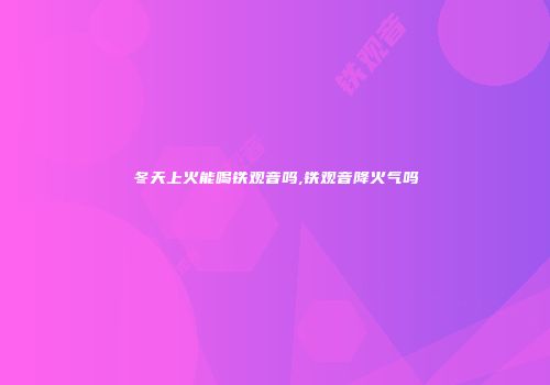 冬天上火能喝铁观音吗,铁观音降火气吗