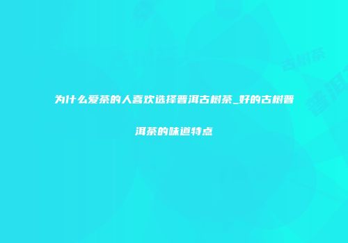 为什么爱茶的人喜欢选择普洱古树茶_好的古树普洱茶的味道特点
