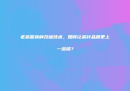 老茶园换种改植技术，如何让茶叶品质更上一层楼？