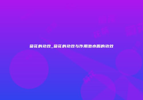 菊花的功效_菊花的功效与作用泡水喝的功效