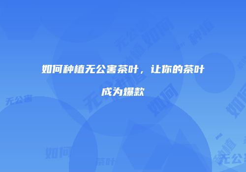 如何种植无公害茶叶，让你的茶叶成为爆款