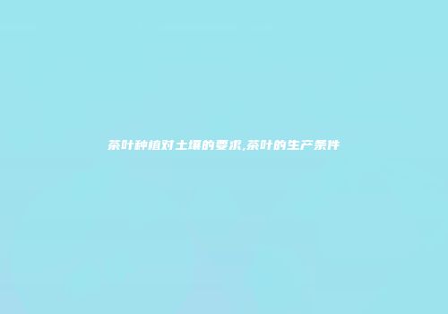 茶叶种植对土壤的要求,茶叶的生产条件